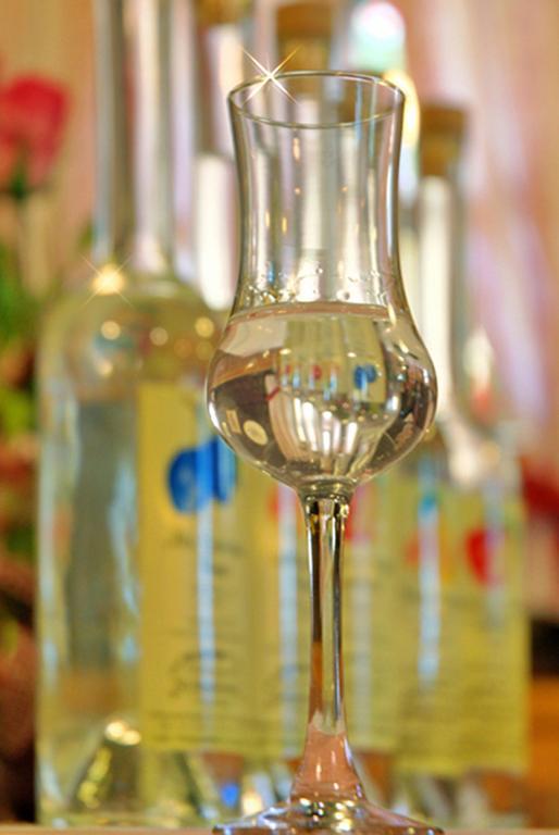 Gasthof Grossschedl Zum Kramerwirt Lassnitzhoehe エクステリア 写真